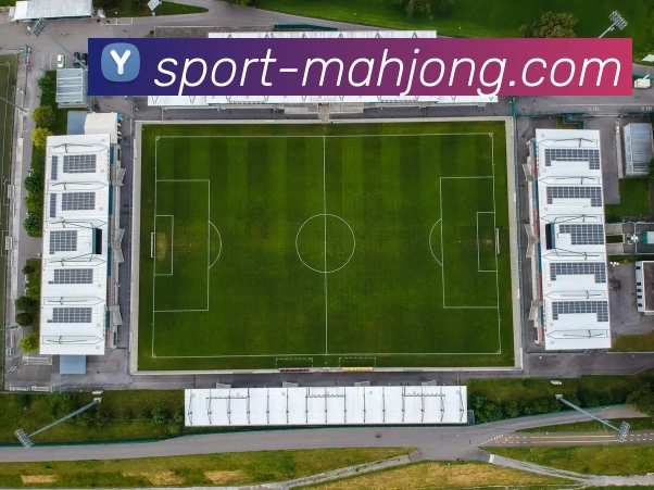 麻将胡了平台生态图